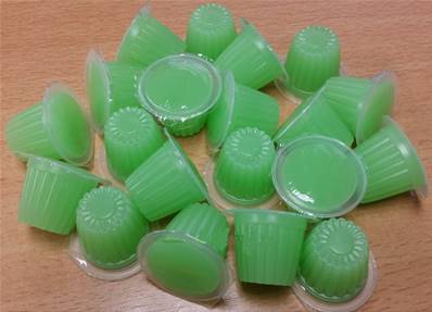 Beetle Jelly Melon