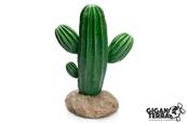 Cactus 10 - 17x13x24.5cm