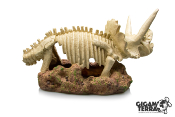 Triceratops - 38x19x21cm
