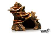 Grotte Champignon - 17x12x14cm