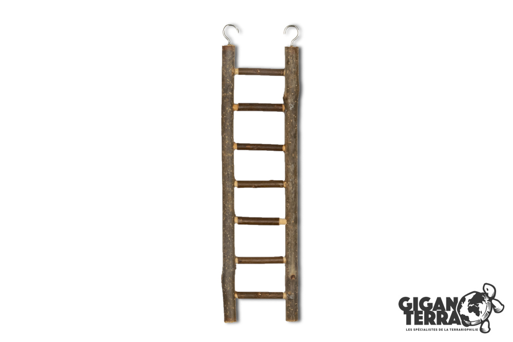 Lana M - Wooden Ladder - 30cm