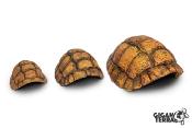 Carapace de Tortue - Grotte- 30x24x14cm