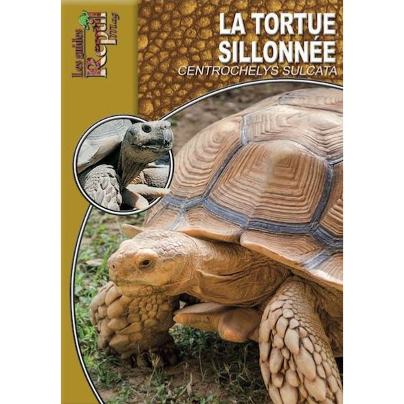 Livre - La tortue sillonnée - Centrochelys sulcata