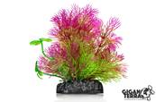 Plante Aqua 667 - H 10cm