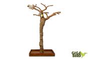 🌿 Arbre en bois de Java sur socle - 150/180cm
