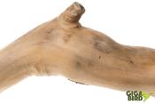 Perchoir Simple en bois de Java - 40cm