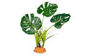 Plante sur Pied (effet mouillé) - 30x16x48cm