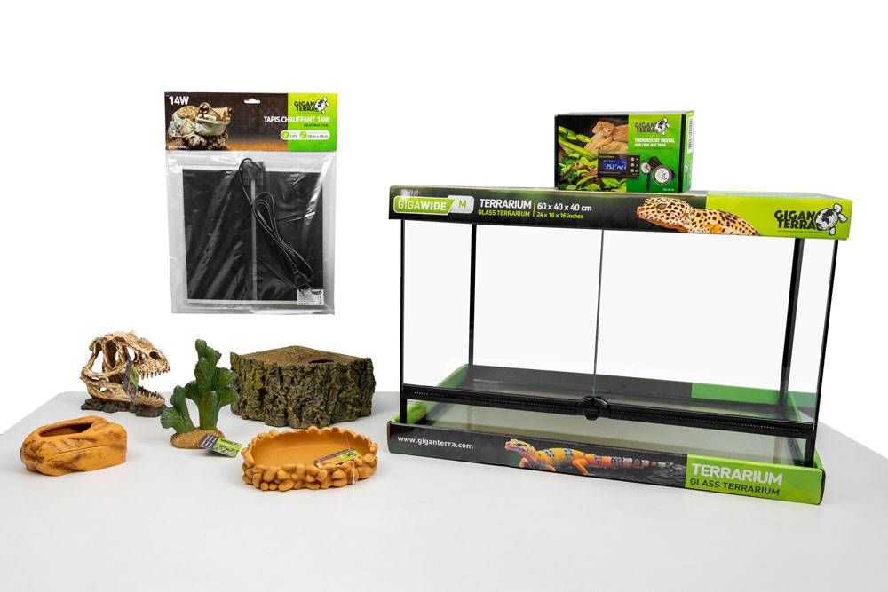 Kit GECKO LEOPARD JUVENILE 40X40X30