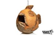 Coconut oiseau - Poisson - 20x18x17cm