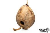 Coconut oiseau - Maison Pongpongan - 22x18x19cm