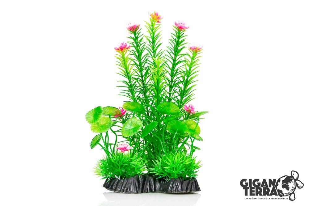 Plante Aqua 655 - H 25cm