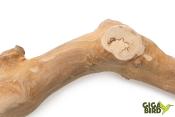 Perchoir Simple en bois de Java - 30cm