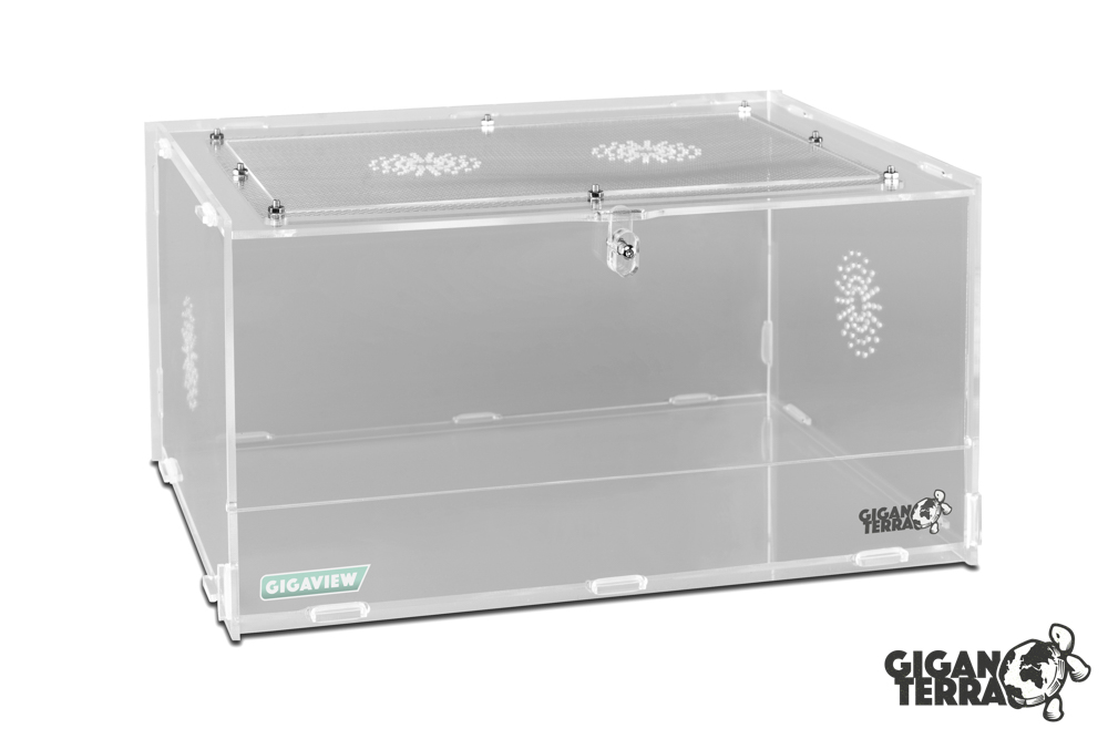 Terrarium en acrylique - Gigaview - 28,5 × 20,5 × 15 cm