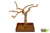 🌿 Arbre en bois de Java sur socle - 60/80cm
