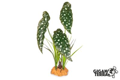 Plante sur Pied (effet mouillé) - 30x16x48cm