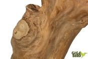 🌿 Arbre en bois de Java sur socle - 100/120cm