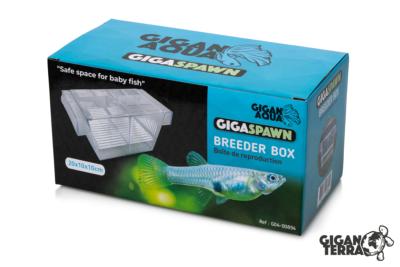 GIGASPAWN - BREEDER BOX - BOITE DE REPRODUCTION - 20X10X10 CM