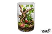 Terrarium en acrylique - Gigaview - Cylindre vertical - Ø : 22cm - H: 33,5cm