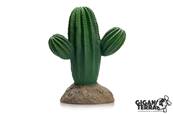 Cactus 11 - 14x9x17cm
