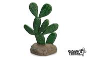 Cactus 12 - 13x9x19.5cm