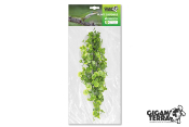 Plantes suspendues HYDROCOTYLE - Hauteur 46 cm - 353 