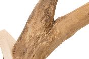 Perchoir Double en bois de Java - 30cm