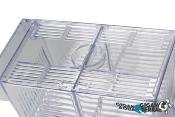 GIGASPAWN - BREEDER BOX - BOITE DE REPRODUCTION - 20X10X10 CM