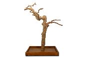 🌿 Arbre en bois de Java sur socle - 120/150cm