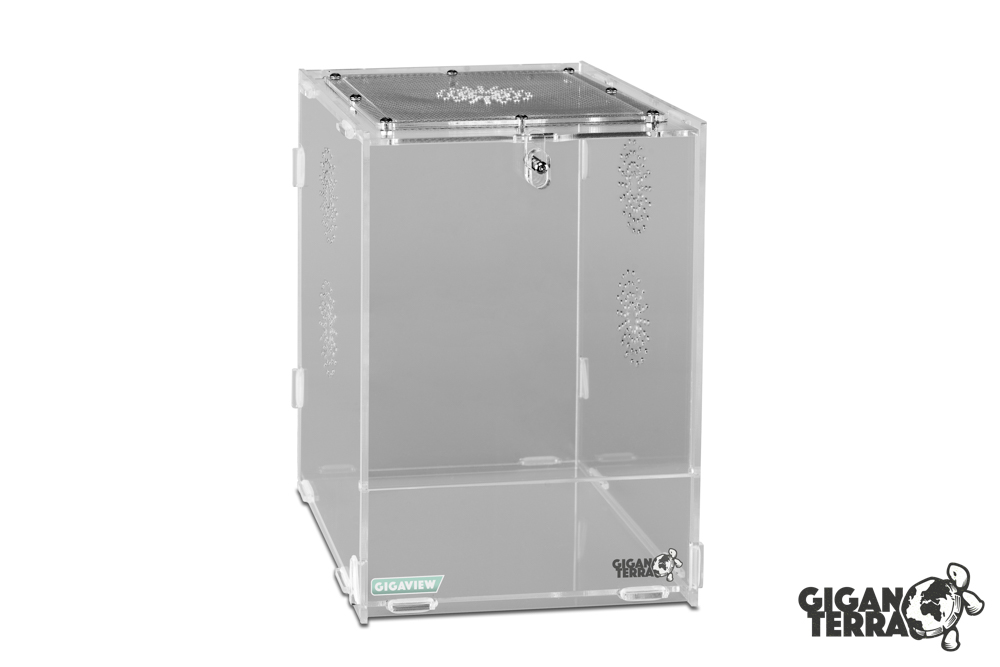 Terrarium en acrylique - Gigaview - 15 × 16,5 × 21,5 cm