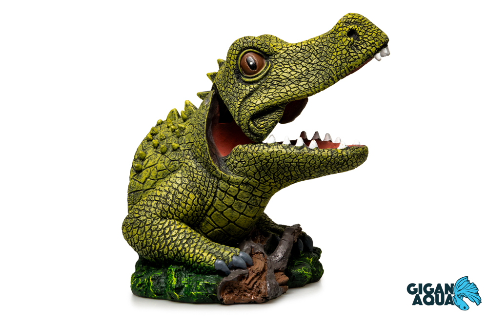 Crocodile bulleur - 16x18x16cm