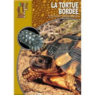 Livre - La tortue bordée