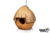 Coconut oiseau - Japan - 20x18x17cm