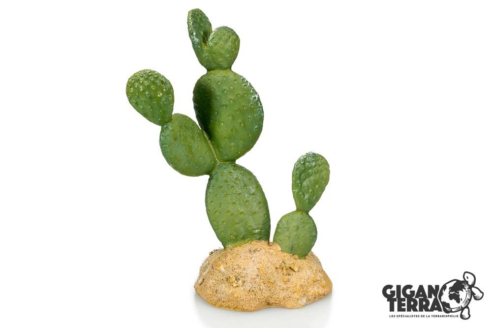 Cactus 7 - 10.5x7x14cm
