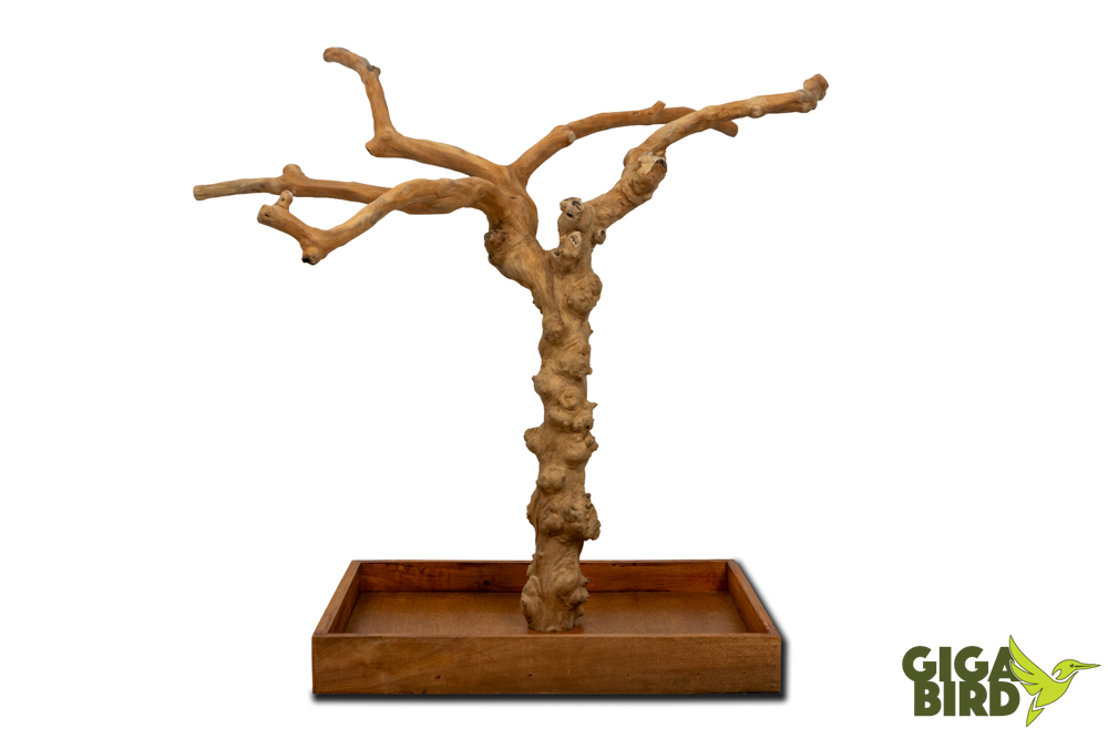 🌿 Arbre en bois de Java sur socle - 60/80cm