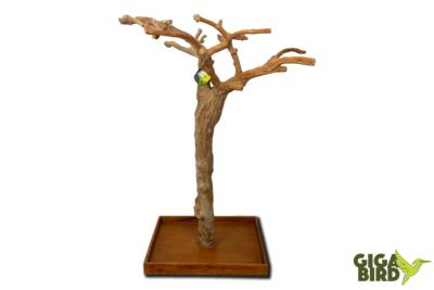 🌿 Arbre en bois de Java sur socle - 150/180cm