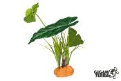 Plante sur Pied (effet mouillé) - 30x16x48cm