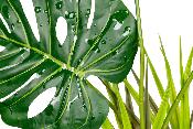 Plante sur Pied (effet mouillé) - 30x16x48cm