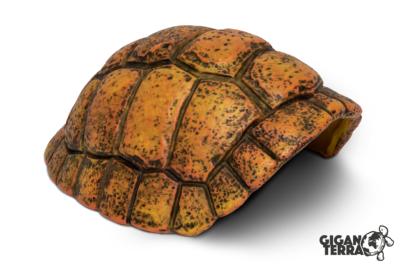 Carapace de Tortue - Grotte- 30x24x14cm