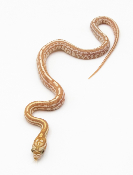 Serpent des blés - Pantherophis guttatus Tessera butter het Scaleless