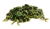 Theloderma corticale - Grenouille mousse