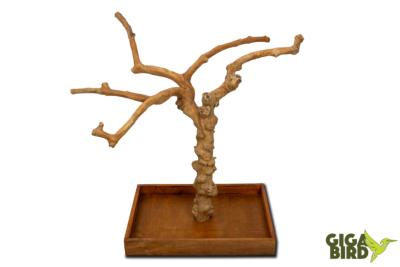 🌿 Arbre en bois de Java sur socle - 60/80cm