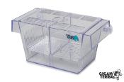 GIGASPAWN - BREEDER BOX - BOITE DE REPRODUCTION - 20X10X10 CM