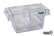 GIGASPAWN - BREEDER BOX - BOITE DE REPRODUCTION - 20X10X10 CM