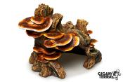 Grotte Champignon - 17x12x14cm