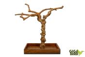 🌿 Arbre en bois de Java sur socle - 60/80cm