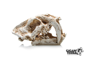 Tigre à dents de sabres M - 486 - 12.5x7x7cm