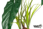 Plante sur Pied (effet mouillé) - 30x16x48cm