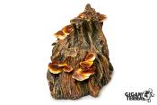 Grotte Champignon - 17x12x14cm