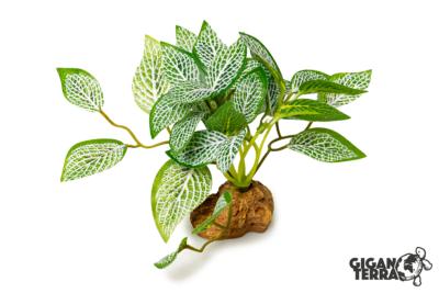 Fittonia Artificiel sur Pied - 10 cm