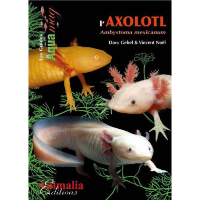Livre - L'axolotl